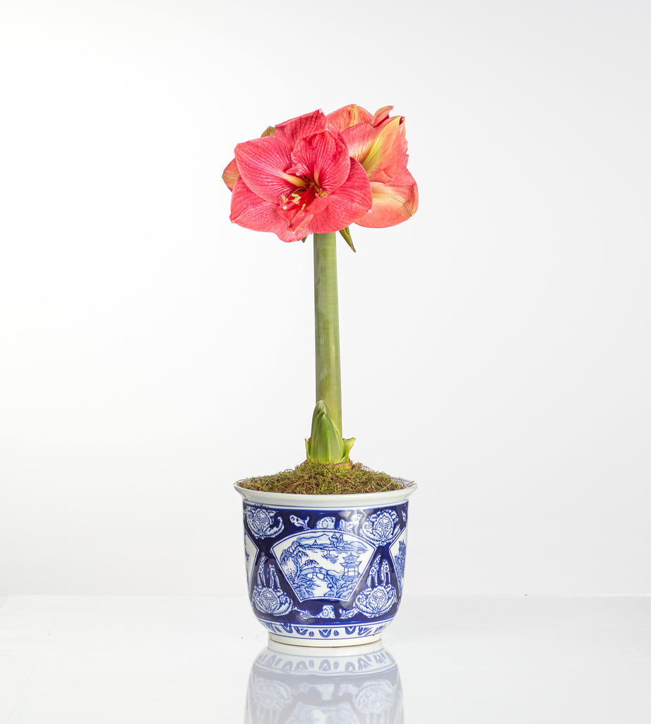 JapaneseGarden_1024x1024.jpg?v