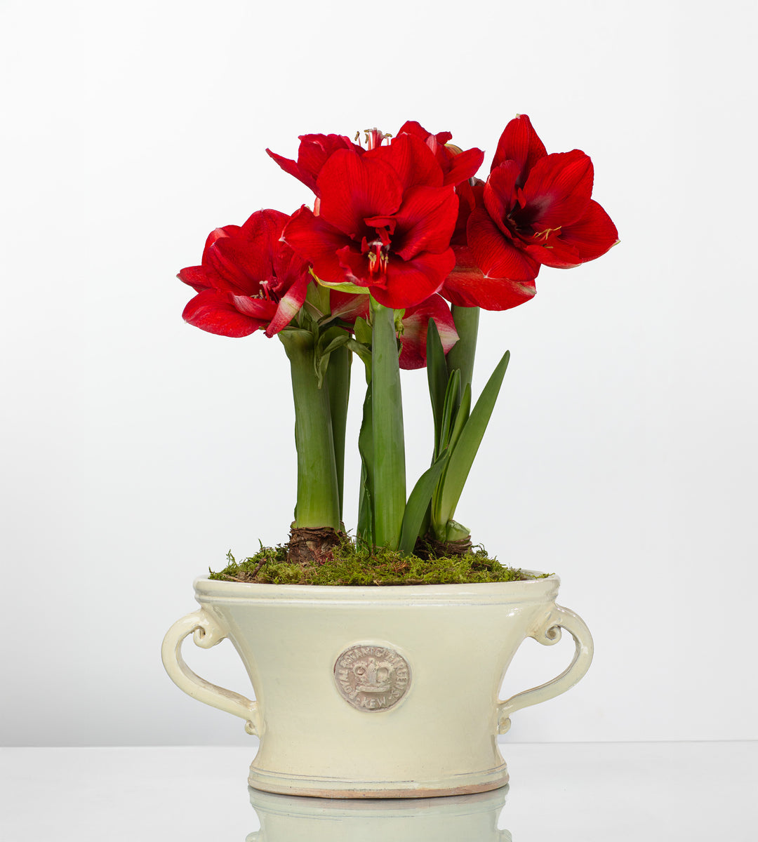 kew gardens plant pots Norwich-Kew Two-Handled Pot Ivory